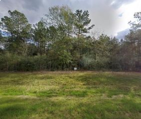 15678 Fire Sky Road, Willis, TX 77378