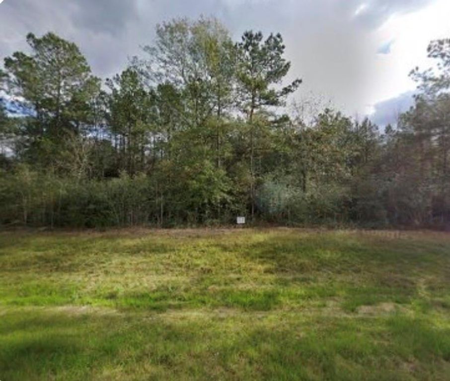 15678 Fire Sky Road, Willis, TX 77378