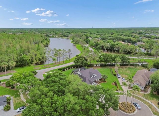 19127 CENTRE ROSE BOULEVARD, Lutz, FL 33558