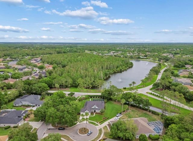 19127 CENTRE ROSE BOULEVARD, Lutz, FL 33558