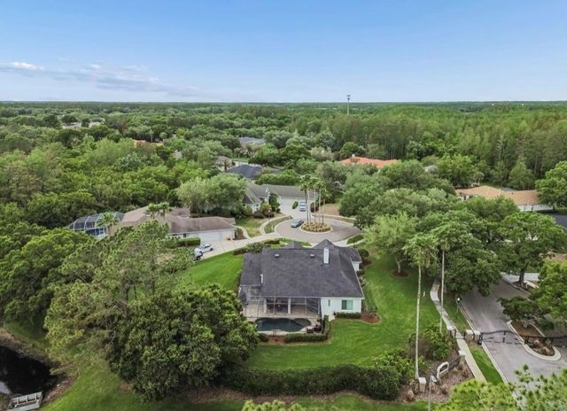 19127 CENTRE ROSE BOULEVARD, Lutz, FL 33558