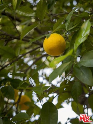 14644 Vose Street, Van Nuys (los Angeles), CA 91405