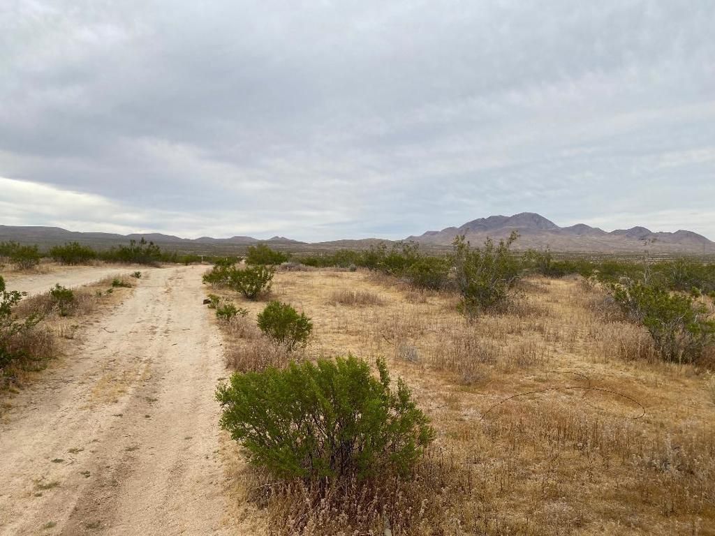 Image 1 of property listing at 19 Hwy 395, Other, CA 99999