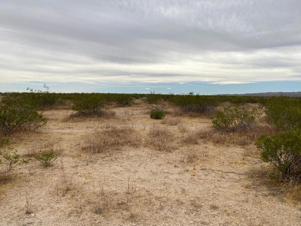 Image 11 of property listing at 19 Hwy 395, Other, CA 99999
