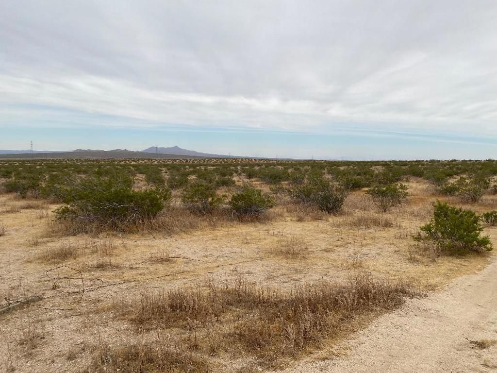 Image 12 of property listing at 19 Hwy 395, Other, CA 99999
