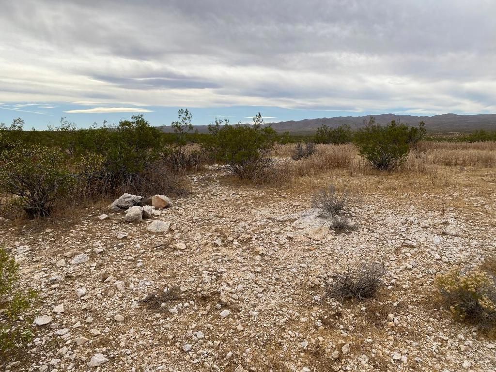 Image 14 of property listing at 19 Hwy 395, Other, CA 99999