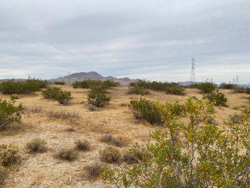 Image 15 of property listing at 19 Hwy 395, Other, CA 99999