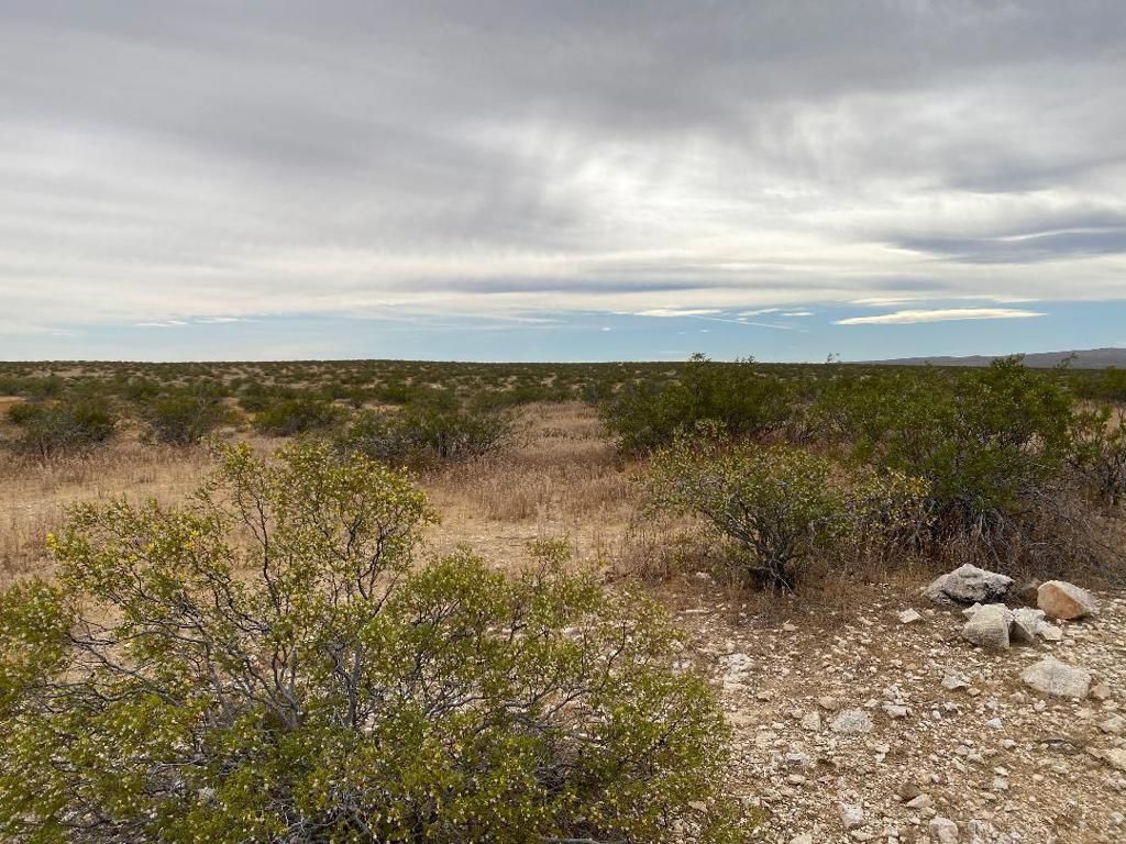 Image 16 of property listing at 19 Hwy 395, Other, CA 99999