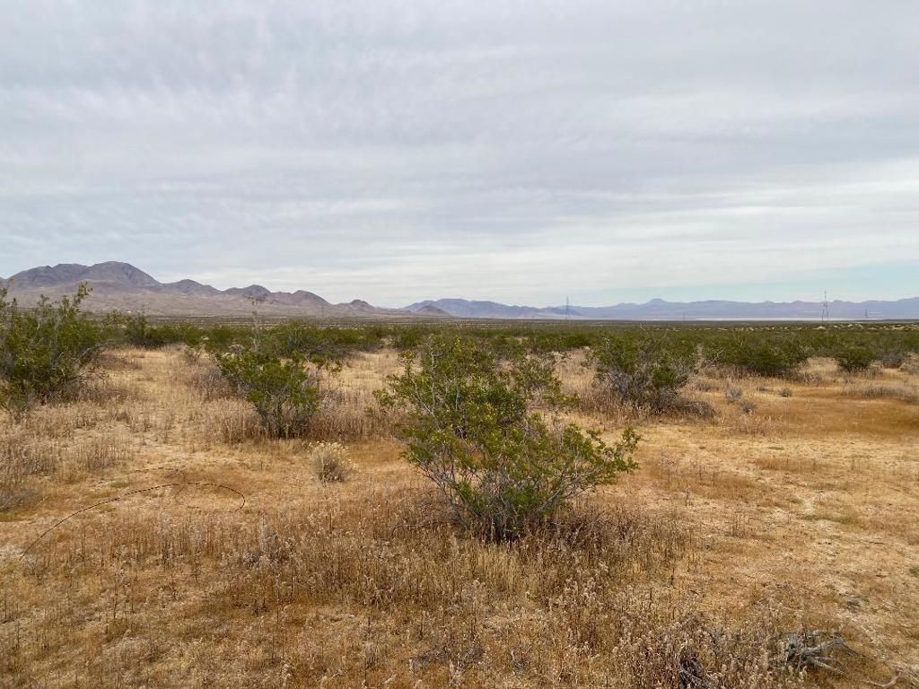 Image 2 of property listing at 19 Hwy 395, Other, CA 99999