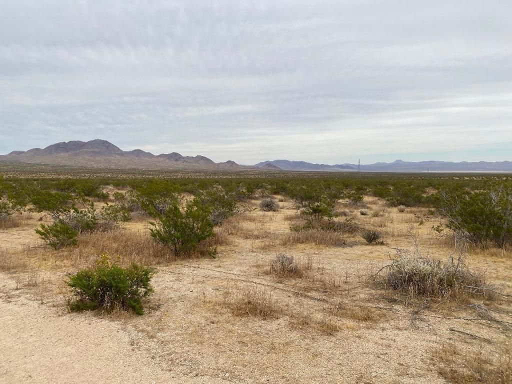 Image 3 of property listing at 19 Hwy 395, Other, CA 99999