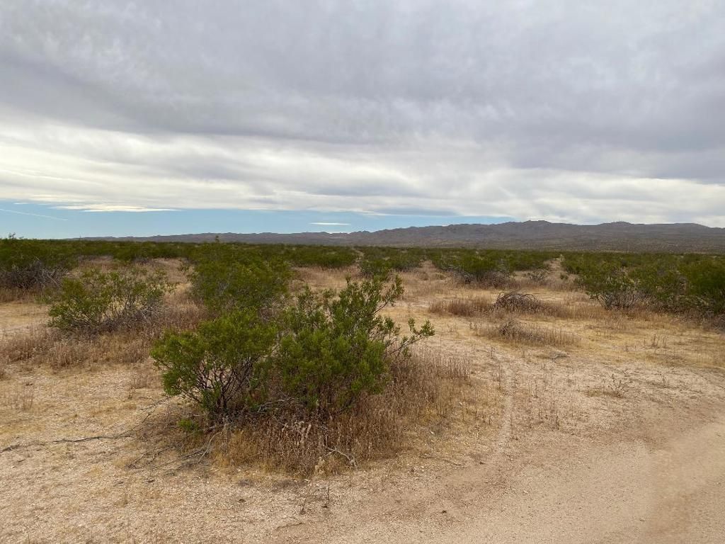Image 5 of property listing at 19 Hwy 395, Other, CA 99999