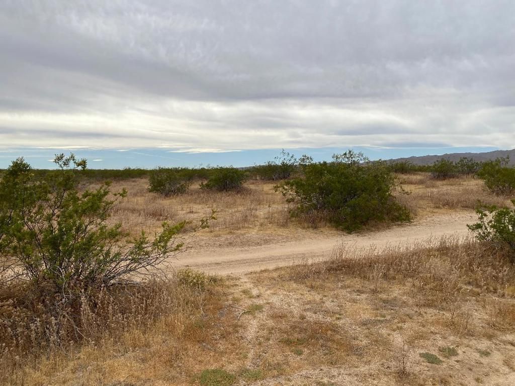 Image 6 of property listing at 19 Hwy 395, Other, CA 99999