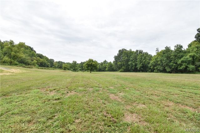 601 Martin Luther King, Northport, AL 35476