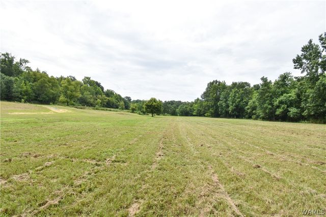 601 Martin Luther King, Northport, AL 35476