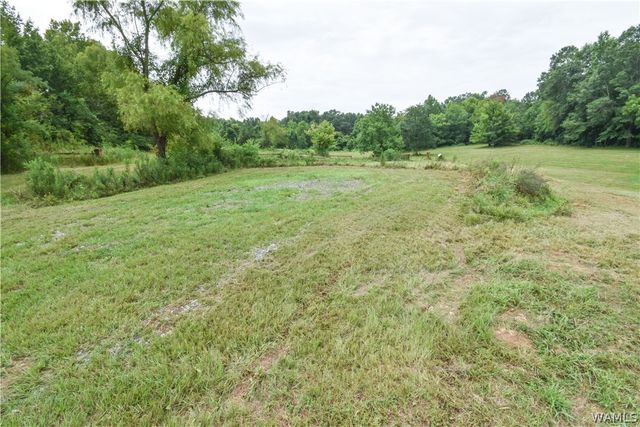 601 Martin Luther King, Northport, AL 35476