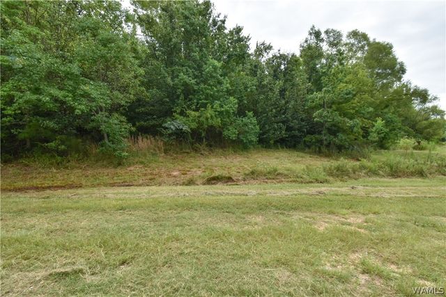 601 Martin Luther King, Northport, AL 35476