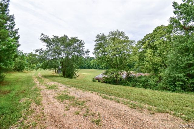 601 Martin Luther King, Northport, AL 35476