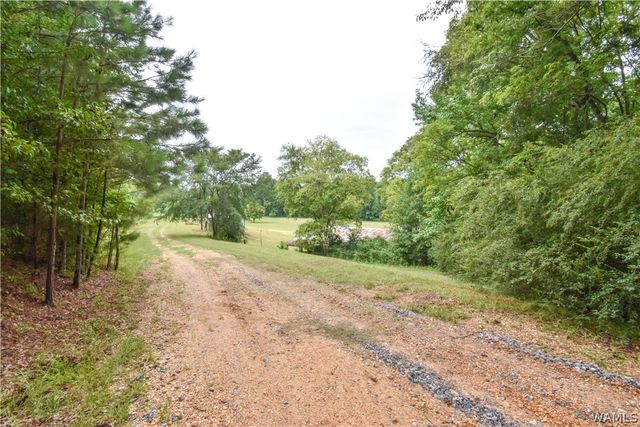 601 Martin Luther King, Northport, AL 35476