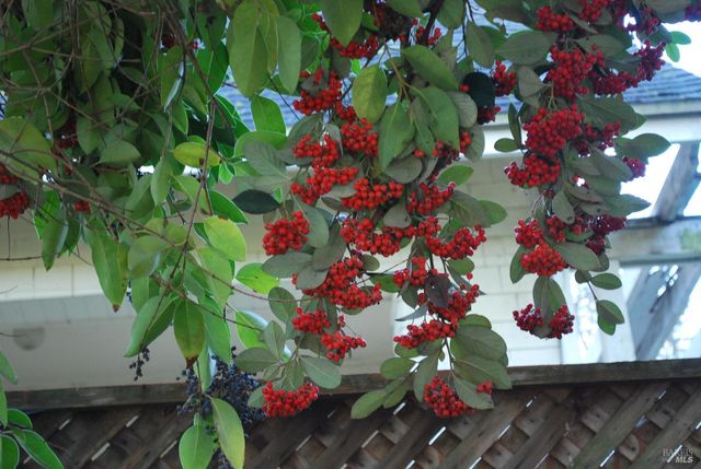 1309 D Street Extension St, Petaluma, CA 94952