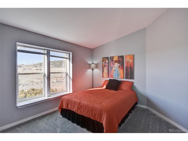 13888 Schoger Rd, Nathrop, CO 81236
