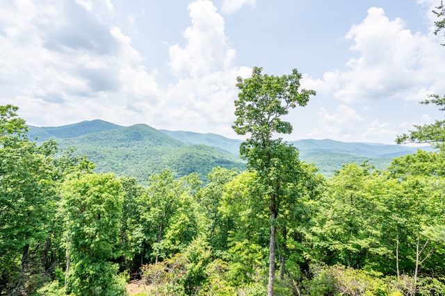 670 Brittney Drive, Blue Ridge, GA 30513