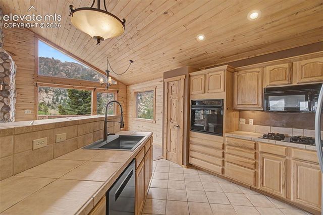 455 Lost Canyon Heights, Florissant, CO 80816