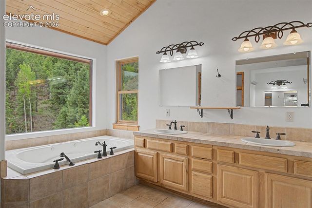 455 Lost Canyon Heights, Florissant, CO 80816