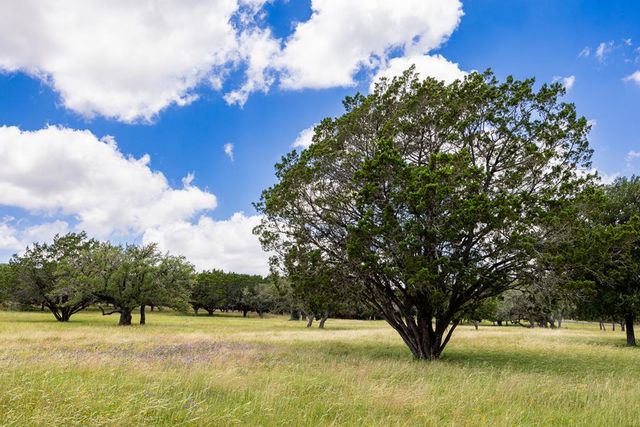119 E Pecan Valley Rd, Center Point, TX 78010
