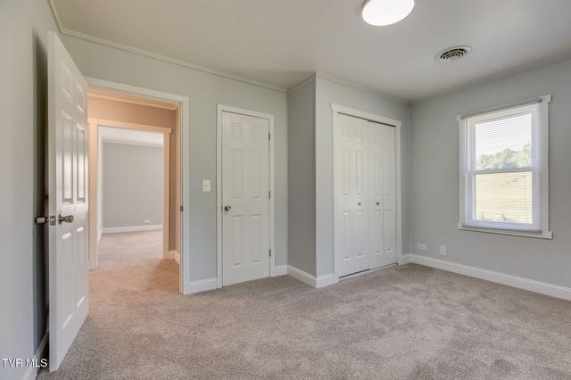 541 Free Hill Road, Gray, TN 37615
