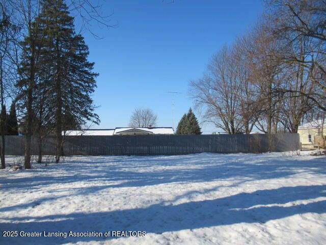 943 Union Street, Dansville, MI 48819