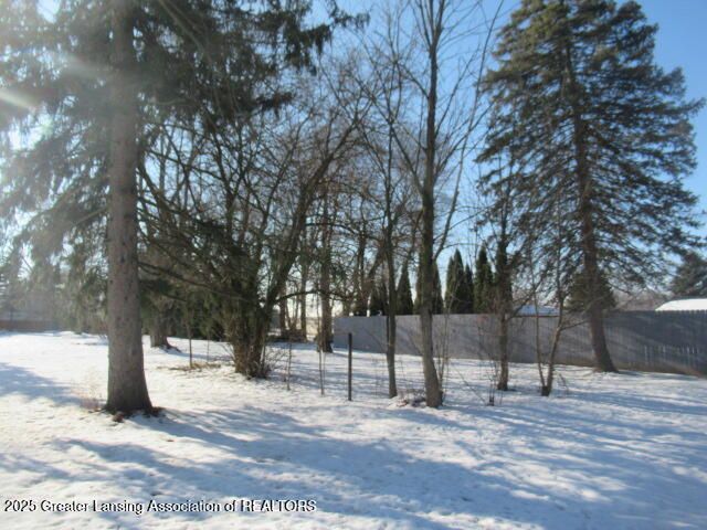 943 Union Street, Dansville, MI 48819