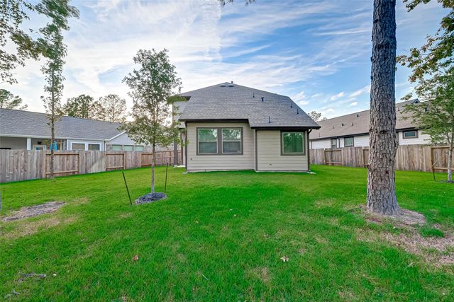 115 Sugar Peak Court, Montgomery, TX 77316