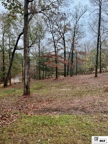 781 1/2 ZODIE SIMS ROAD, Calhoun, LA 71225