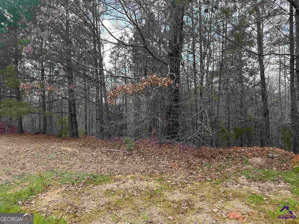 324 Wilsons Creek Bend, Bonaire, GA 31005