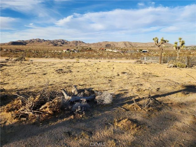 61329 Rocky Vista, Joshua Tree, CA 92252