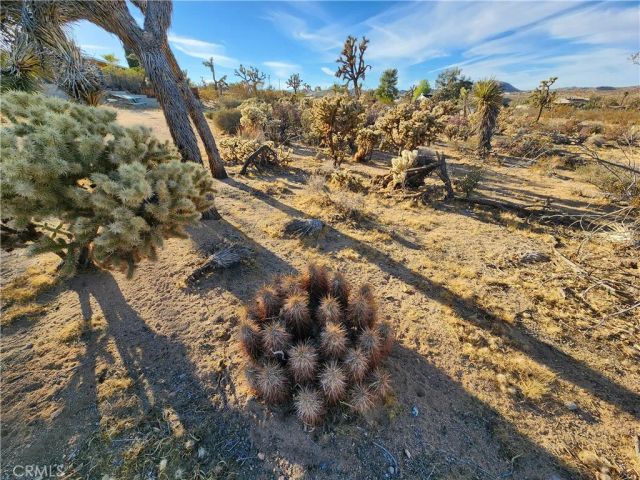 61329 Rocky Vista, Joshua Tree, CA 92252