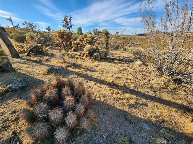 61329 Rocky Vista, Joshua Tree, CA 92252