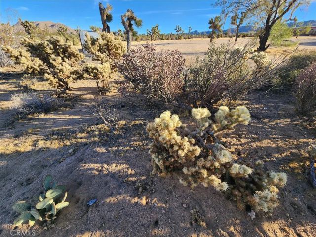 61329 Rocky Vista, Joshua Tree, CA 92252