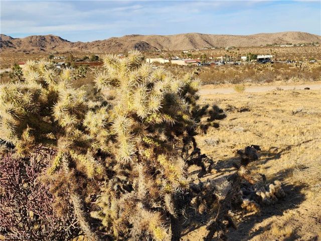 61329 Rocky Vista, Joshua Tree, CA 92252