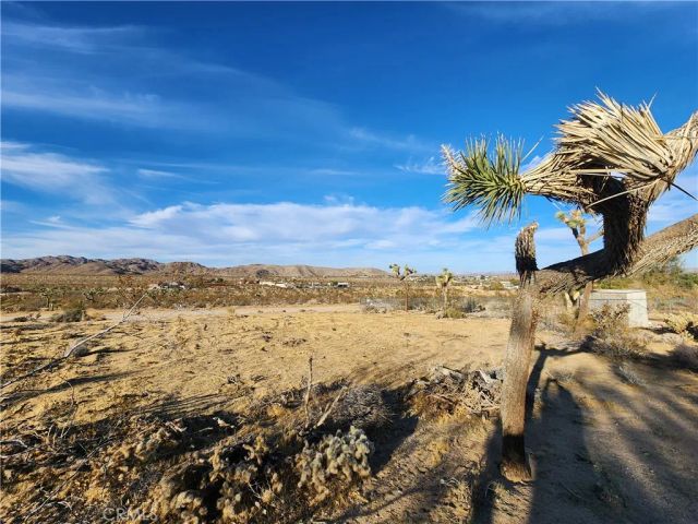 61329 Rocky Vista, Joshua Tree, CA 92252