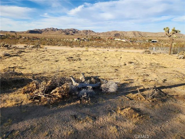 61329 Rocky Vista, Joshua Tree, CA 92252