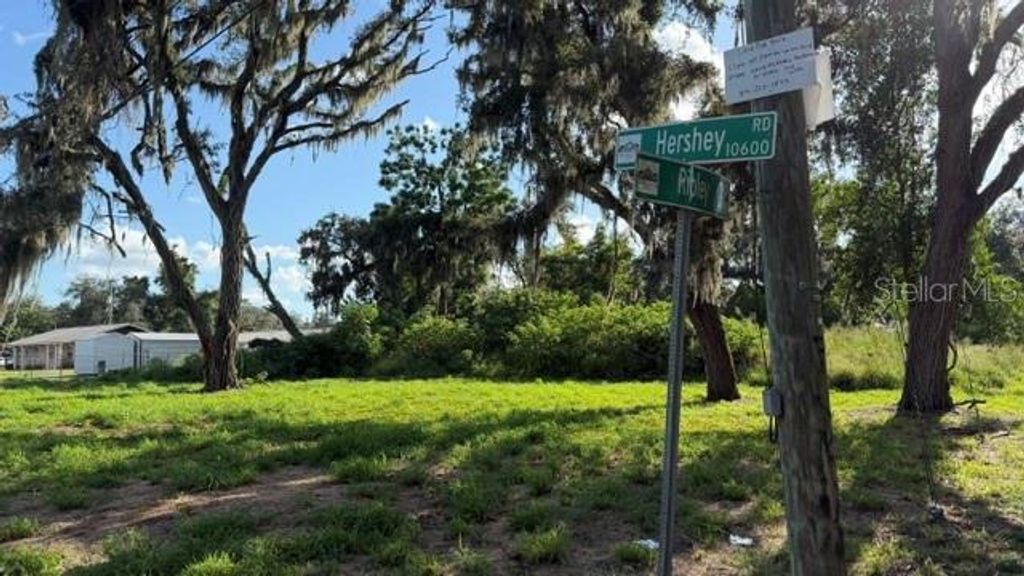 9323 RIPLEY ROAD B, Thonotosassa, FL 33592