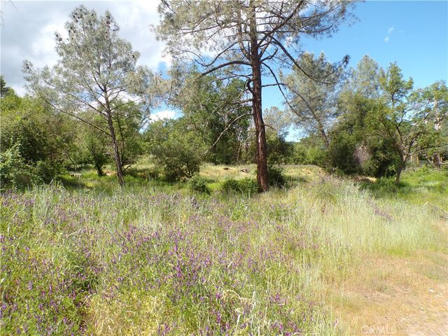 14304 Redbud, Clearlake, CA 95422