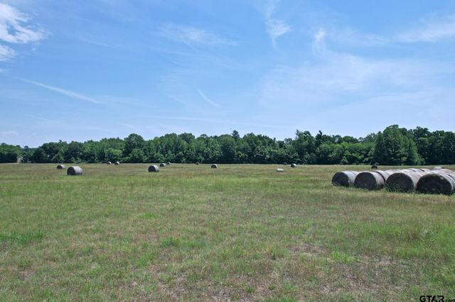 258 County Road 3199, Winnsboro, TX 75494