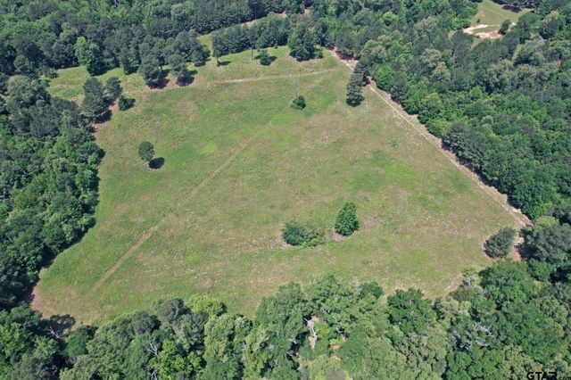 258 County Road 3199, Winnsboro, TX 75494