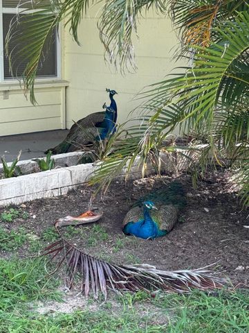 1401 NE Elizabeth Avenue, Jensen Beach, FL 34957