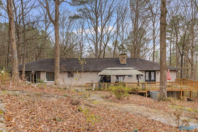 2806 Burningtree Mountain Road, Decatur, AL 35603