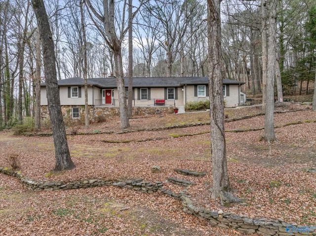 2806 Burningtree Mountain Road, Decatur, AL 35603