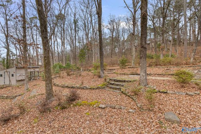 2806 Burningtree Mountain Road, Decatur, AL 35603
