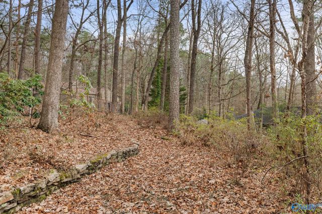 2806 Burningtree Mountain Road, Decatur, AL 35603